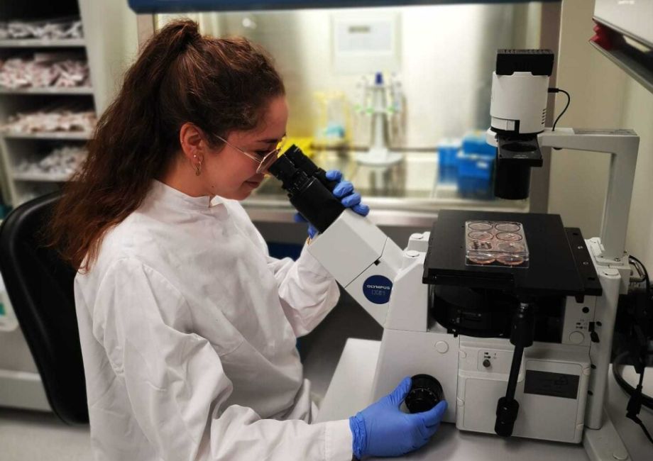 Aktuelle Forschung zur Immuntherapie bei kindlichen Sarkomen