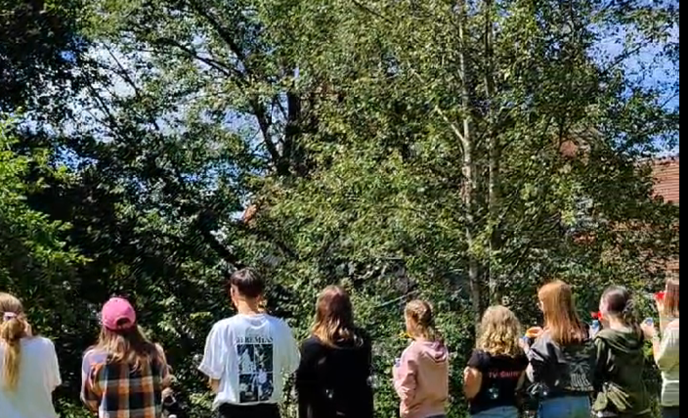 Geschwistertrauerfreizeit 2024