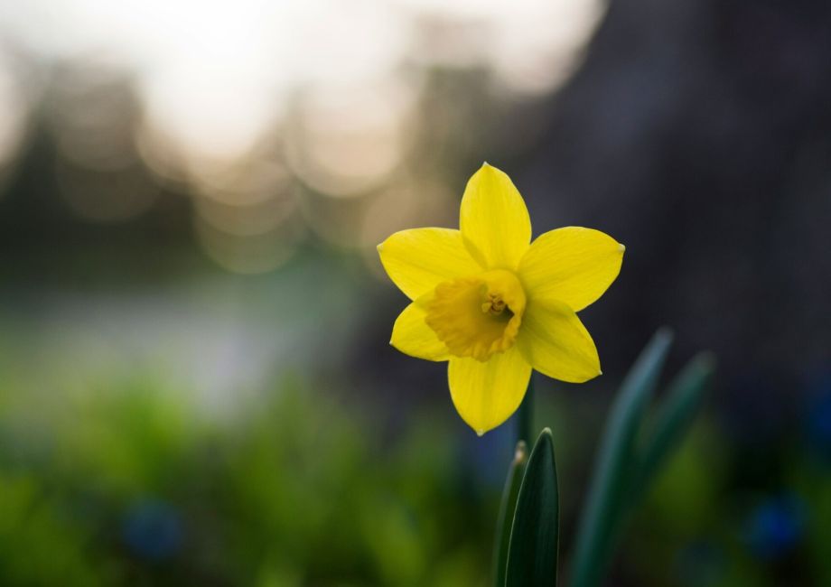 Wir wünschen Ihnen schöne Osterfeiertage!