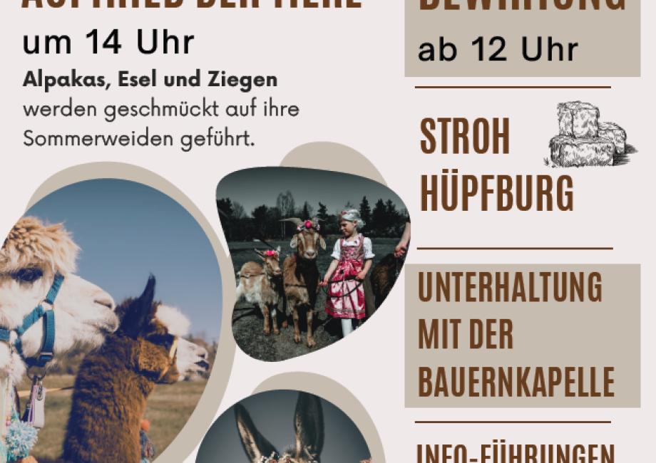 Charity-Radtag mit tollem Programm