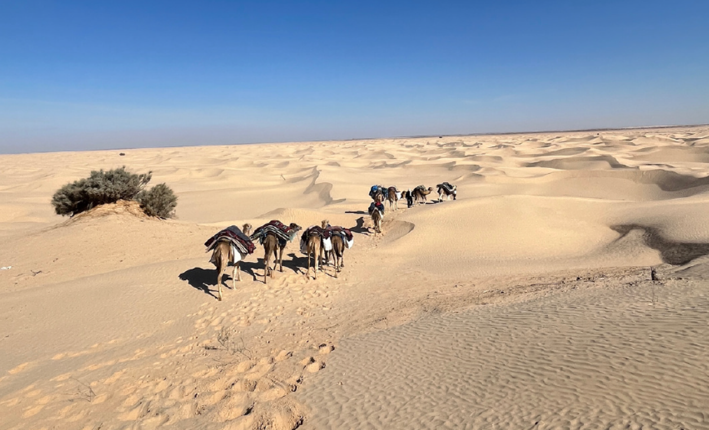 Wüstenwanderung für trauernde Eltern