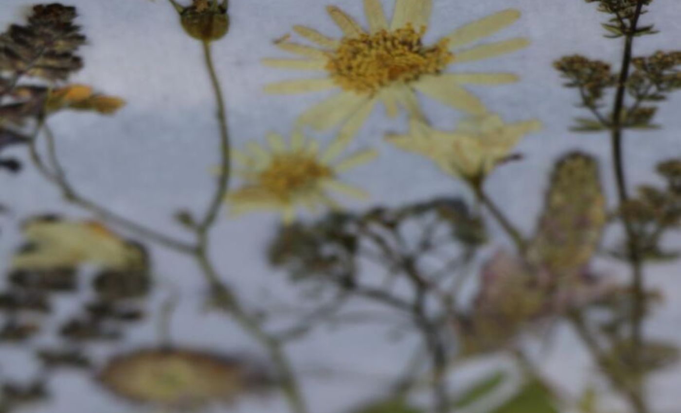 Einladung zur Freizeit für trauernde Geschwister 2025