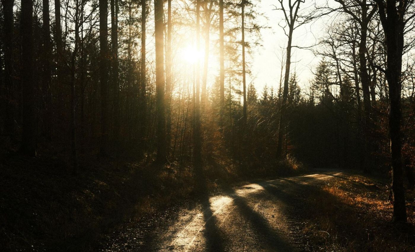 Einladung zur Familienfreizeit für trauernde Eltern und Geschwister
